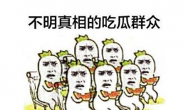 韩国吃瓜群众爆料事件,神秘吃瓜群众曝惊天事件，真相即将揭晓